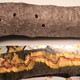 Damage caused by the unnamed species
